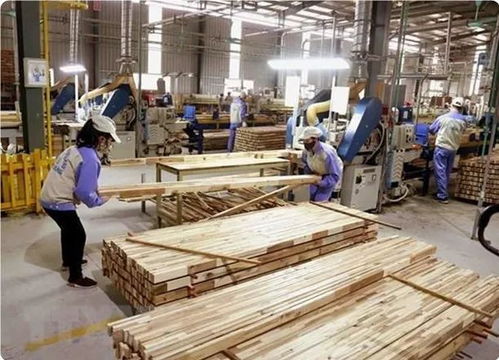 木材行情 2024巴黎奥运会禁用热带木材 越南木材工业几近瘫痪