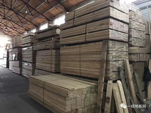 南浔木业行业从业者的心声 强烈请求政府给我们一个缓冲期